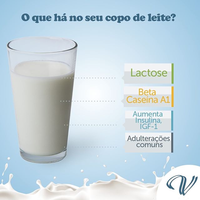 Resultado de imagem para riscos do leite de vaca segundo vegetarianos